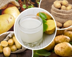 Treatment with potato juice - beneficial properties, harm, contraindications, recipes: what does it help from, how to take it correctly?