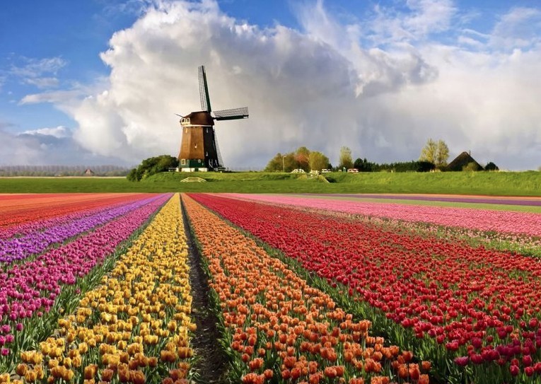 Голландия - провинция полей тюльпанов, атмосферных улочек и незабываемых пейзажей с мельницами.