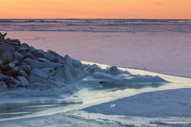 Iklim dingin laut menetapkan lokasi yang dekat dari Kutub Utara