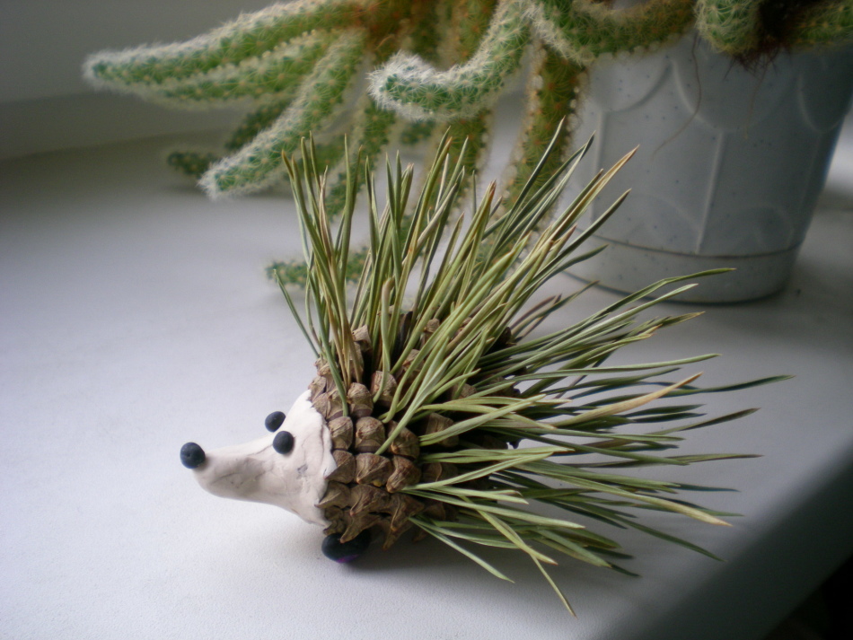 Hedgehog from spruce needles