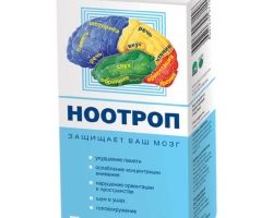 Nootropics for brain activity - what is nootropic and whether it is worth using: list, action, reviews