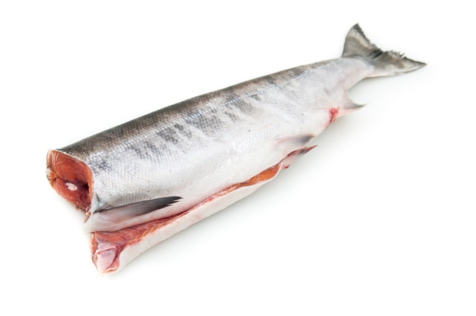 Bagaimana cara garam segar -salmon utuh?