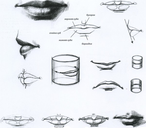 Cara menggambar bibir dengan benar