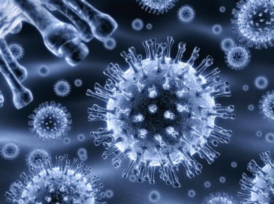 Decoding dan norma analisis tinja untuk infeksi rotavirus