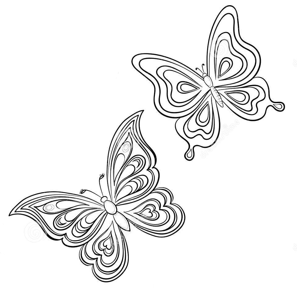 Cara membuat kupu -kupu kertas berwarna: templat, foto