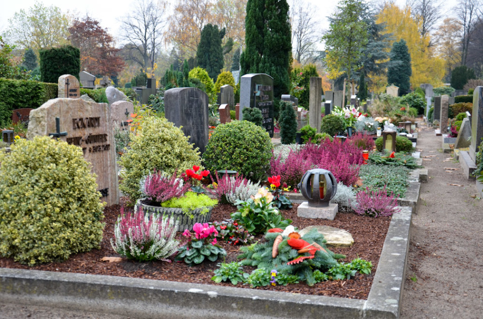 Tânărul este, de asemenea, plantat în cimitire