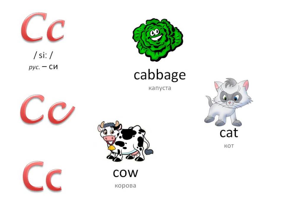 Английский алфавит с озвучкой для детей: буква cc