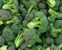 Ali je mogoče jesti brokoli z zeljem - koristi in morebitne škode. Ali je mogoče po zamrzovanju jesti surovo zeljno brokoli?