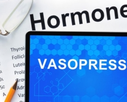 A vazopresszin hormonról: A hatások, amelyekért felelős, mi történik a test mutatóinak növekedésével és csökkenésével?