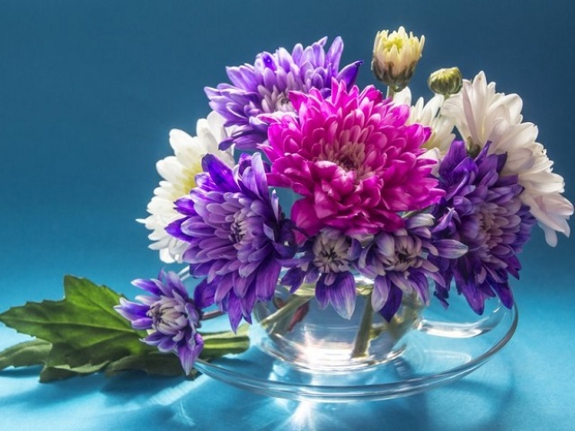 How long to save the bouquet of chrysanthemums in a vase?