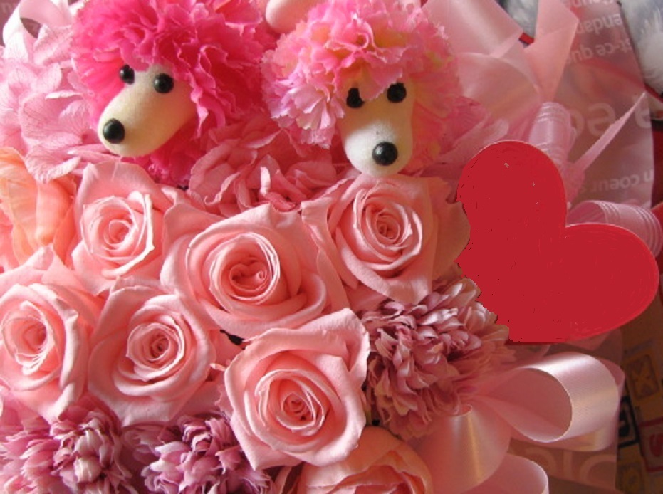 Bouquet pour les anniversaires avec des roses et des chiens