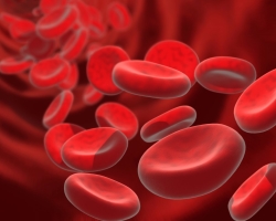 Hemoglobin pada wanita - norma berdasarkan usia: tabel. Cara meningkatkan dan menurunkan hemoglobin: obat -obatan, vitamin dan suplemen makanan, makanan, makanan yang meningkatkan hemoglobin, tips