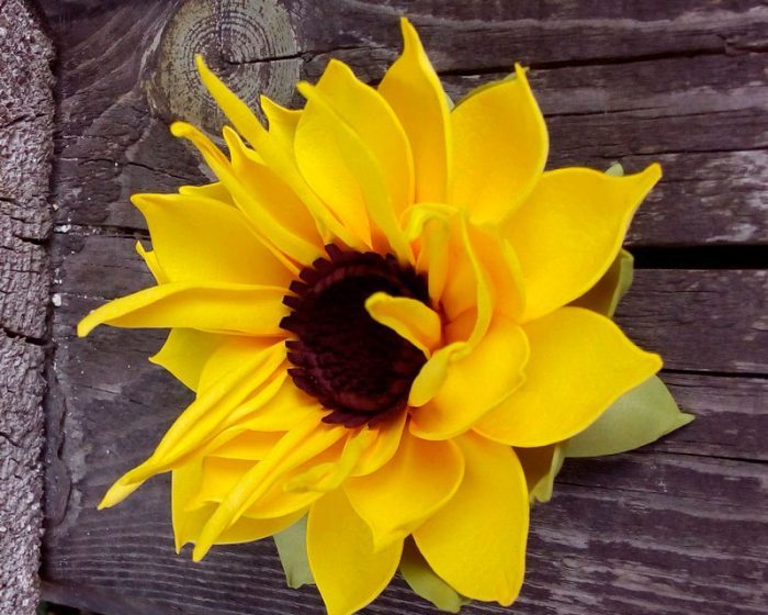 Sunflower from isolon