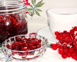 Kalina is red - a workpiece for the winter and methods of cooking: gold recipes. How to cook jam, compote, jam, jam, make syrup, juice, jelly, sauce from viburnum for the winter?