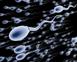 Male infertility: Piospermia. Is pregnancy possible? Treatment of piospermia