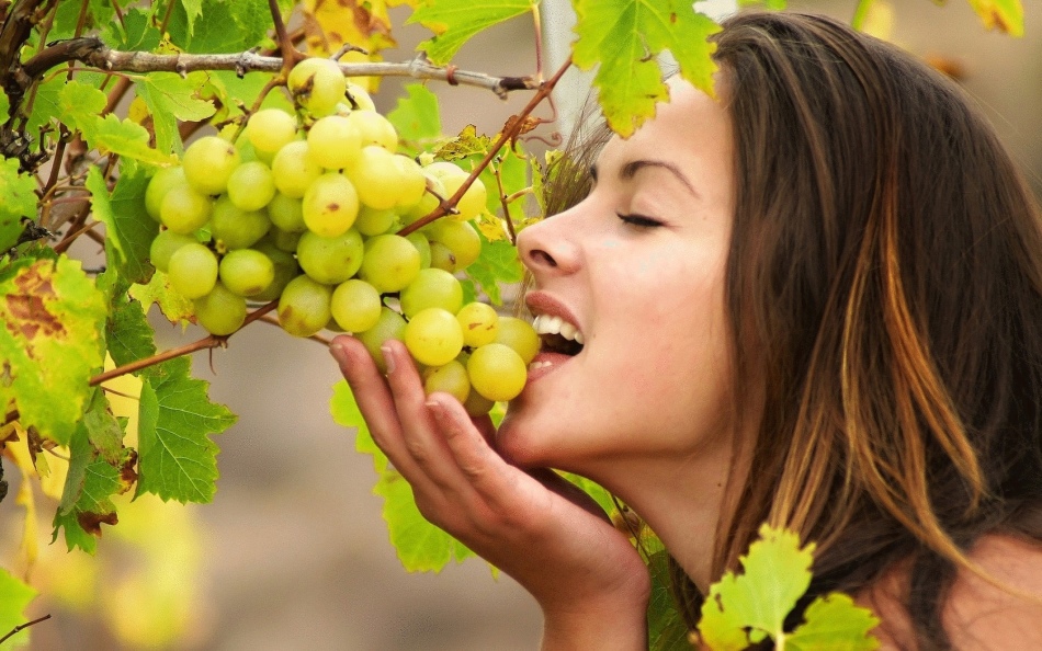 Тот, кто во сне ел крупный белый виноград, наяву может получить прибыль