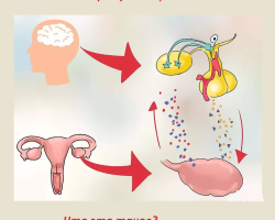 Mi az amenorrhoea a nőkben? Hogyan kell kezelni a betegséget?