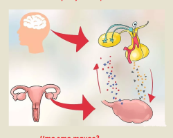 What is amenorrhea in women? How to treat the disease?