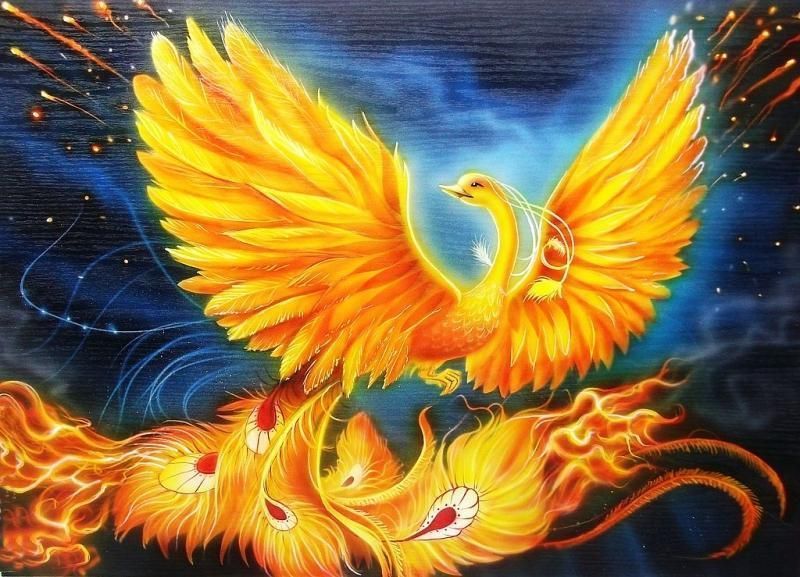 Phoenix birds growing from ashes, according to beliefs, awarded cinnamon with magical properties
