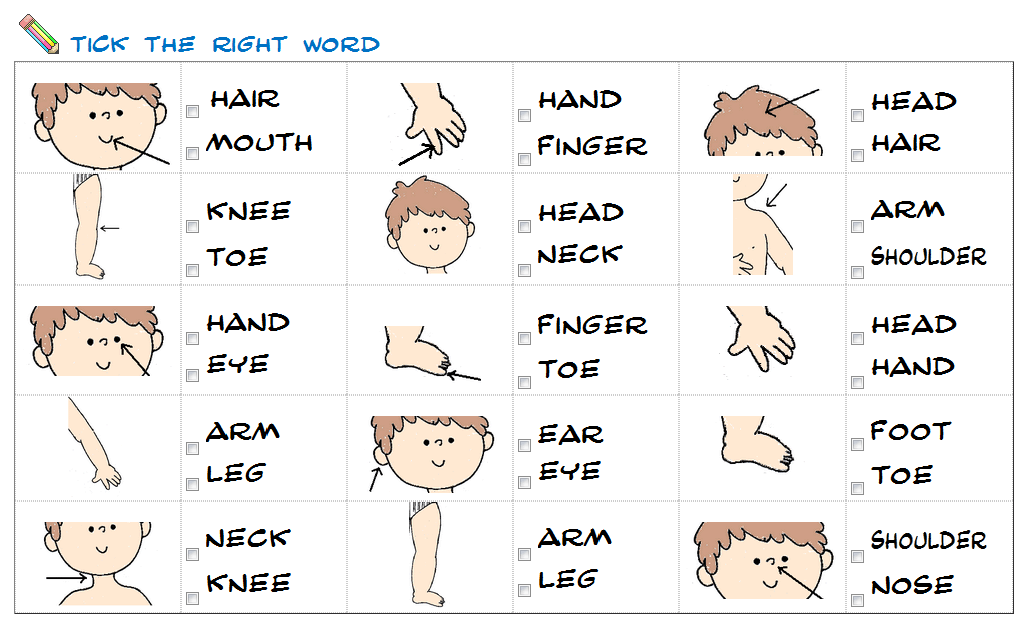 Части тела на английском для детей в картинках с переводом
