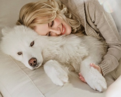 Samoyed Dog Laika: Karakteristik, Standar dan Deskripsi Breed, Ulasan Pemilik, Foto. Samoyed Husky adalah anjing hypoallergenic: perawatan dan pemeliharaan di apartemen. Julukan untuk anjing anak laki -laki dan perempuan Samoyed: Daftar