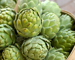 What are artichokes, what do they look, their benefits and harm, recipes for cooking? How to cook delicious snacks from artichokes, pizza, salads pie and sauce?