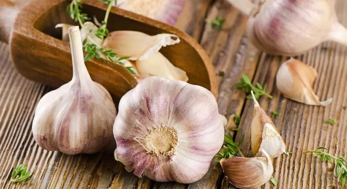 Garlic: strong natural natural antibiotic
