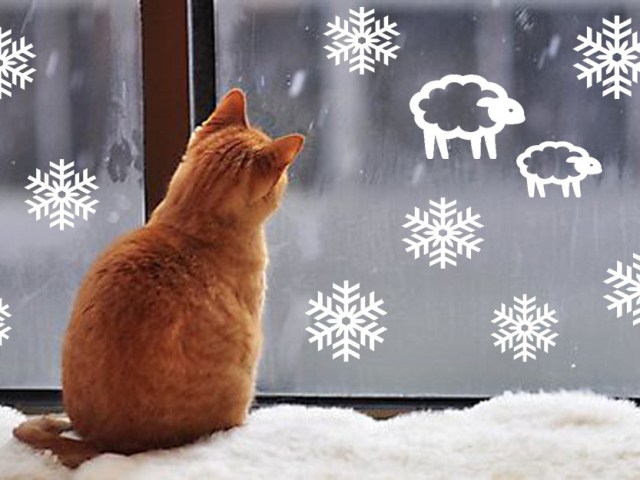 Как нарисовать зимние морозные узоры на окне гуашью, красками, зубной пастой и губкой поэтапно: инструкция для новогоднего оформления окон, фото. Морозные узоры на окне зимой — примеры рисунков на новогоднем окне: фото