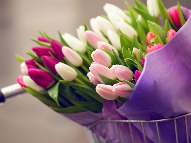 О чем символизируют цвета тюльпанов в букете на языке цветов? Какого цвета тюльпаны подарить девушке?