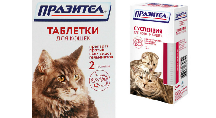 Препараты котятам от глистов