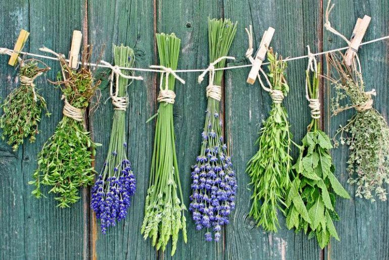 Herbs from colds