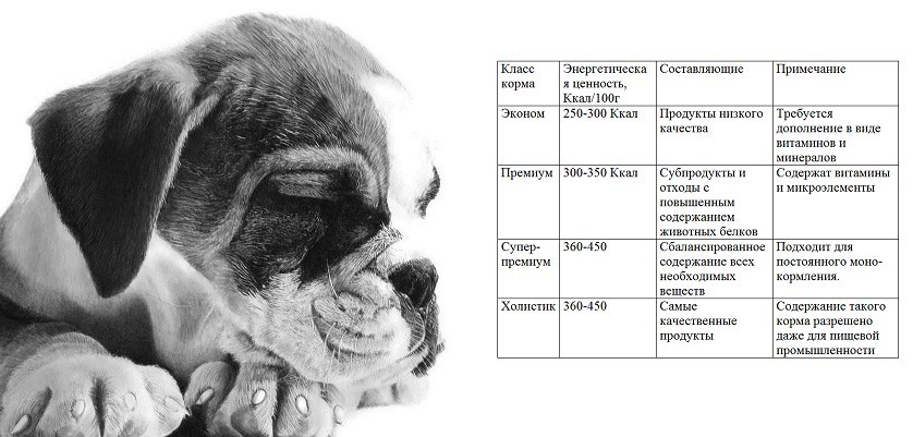 Клас фуражи