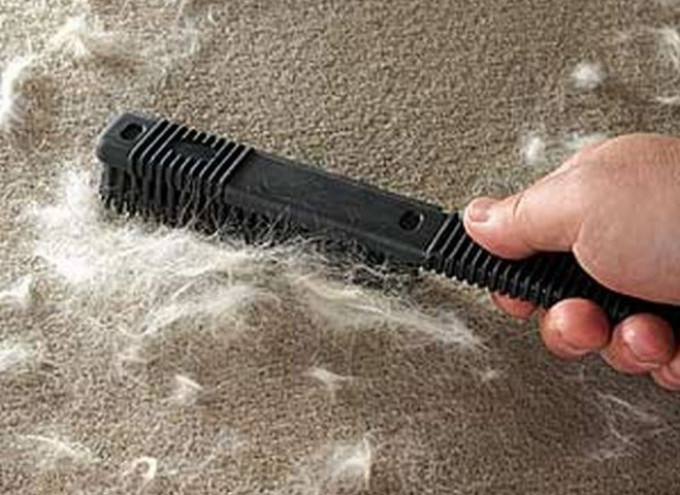 Nettoyage de tapis avec brosse en caoutchouc