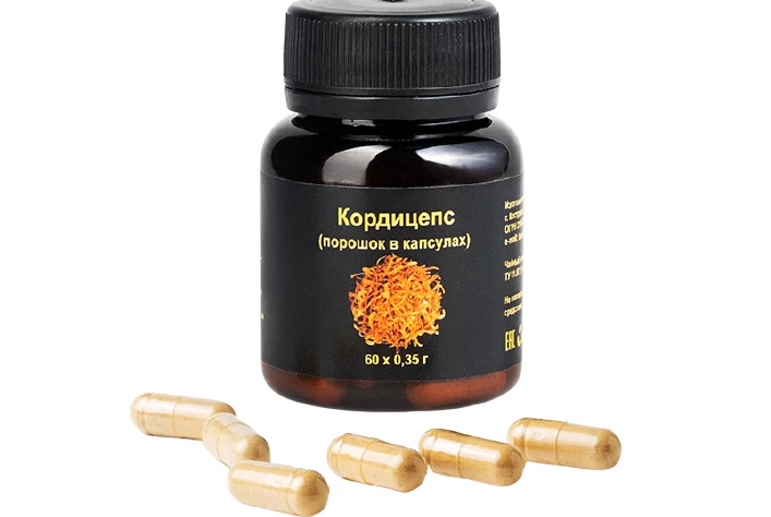 Drogencordyceps Pilz