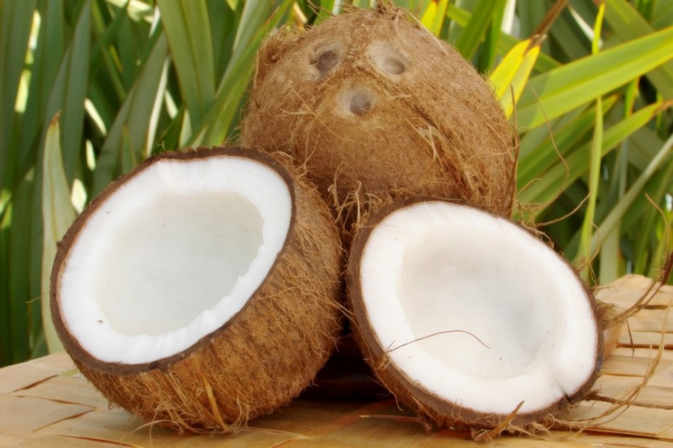 У Азији је уље кокосова кувано од времена Јеморил.