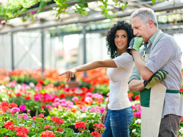 How to make money on growing colors in a greenhouse is a business plan