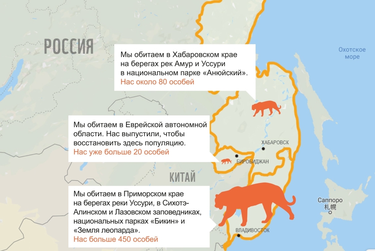 Место обитания Амурского тигра на карте России