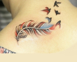 Que signifie une plume d'oiseaux pour les filles, les hommes et les femmes? Tatouage Feather of Birds: emplacement, variétés, exemples d'application, croquis, photos. Quels tatouages \u200b\u200bsont combinés avec un tatouage de plume d'un oiseau?