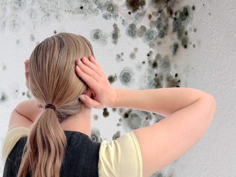 La cortina en el baño ciertamente se convertirá en una víctima de moho si hay un exceso de humedad en la habitación.