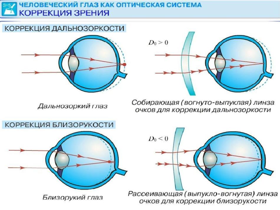 Глаз схема физика