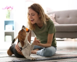 چه چیزی می توانید با یک سگ در خانه بازی کنید: بدون اسباب بازی ، با اسباب بازی ، ورزش سگ ، هنگام شستشو