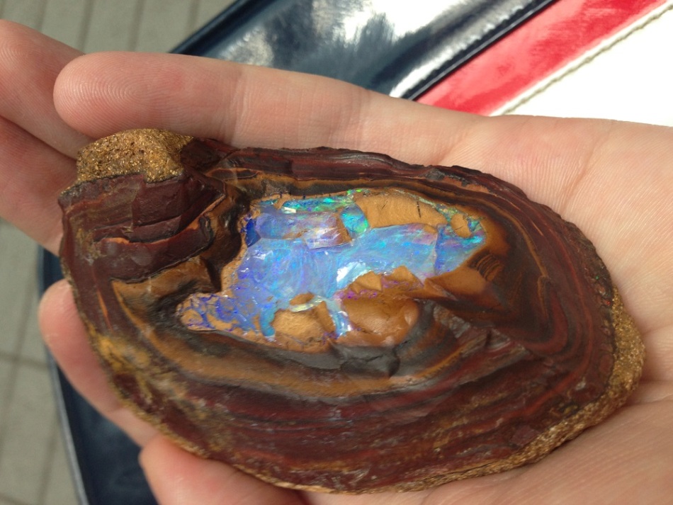 Bolder Opal: Lake in the palms