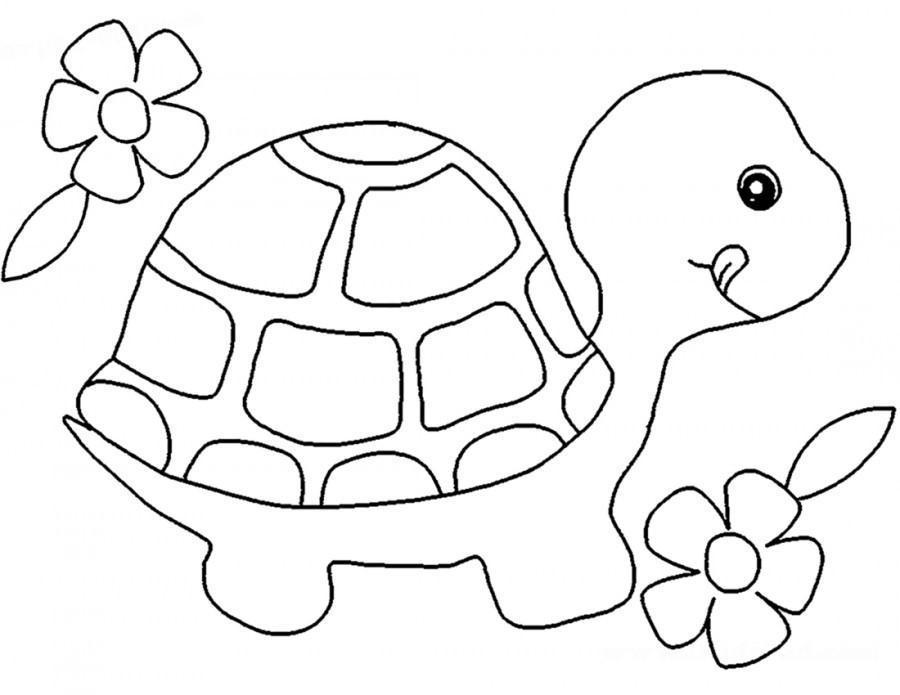 Șablon de broască țestoasă 2