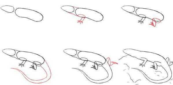 Как нарисовать первоначальные контуры ящерицы