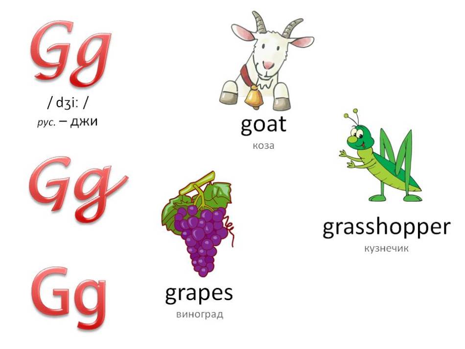 Английский алфавит с озвучкой для детей: буква gg