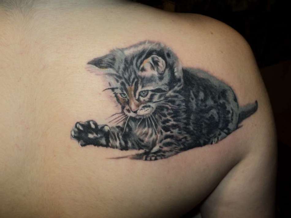 Серый котенок на спине - татуировка для девушек