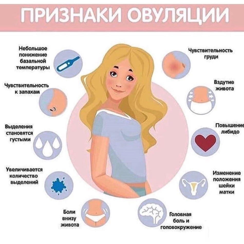 1 Симптомы беременности