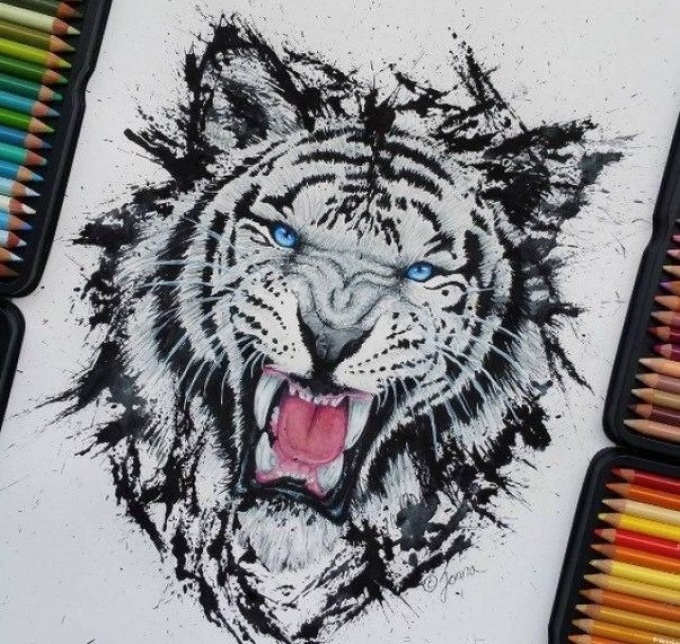 Эффектный рисунок-эскиз для тату в виде тигра