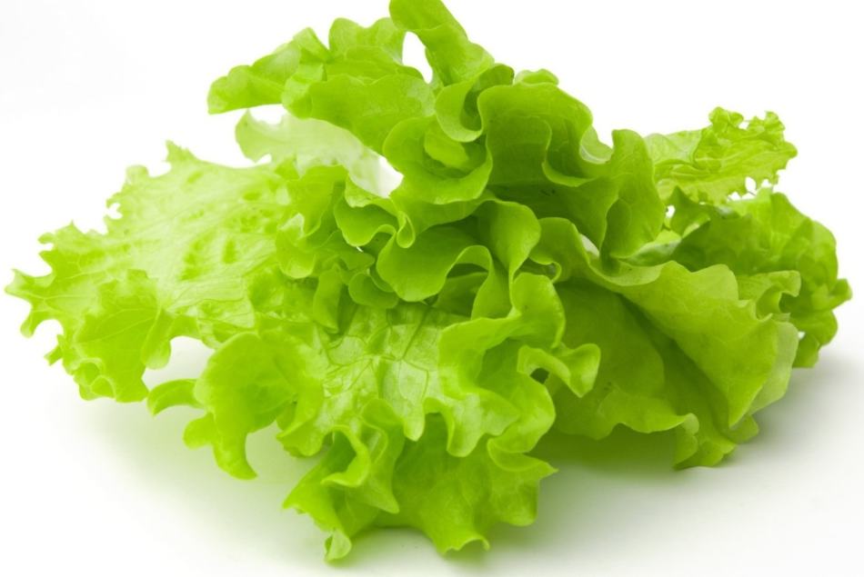 Lembar salad hijau segar yang indah dari seikat sebelum acar