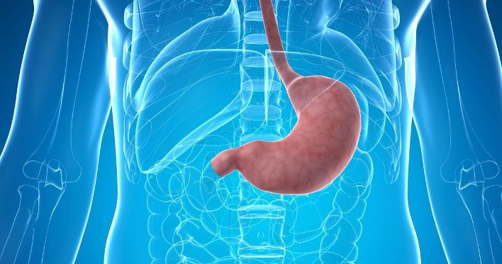 The relationship of sugar and stomach cancer